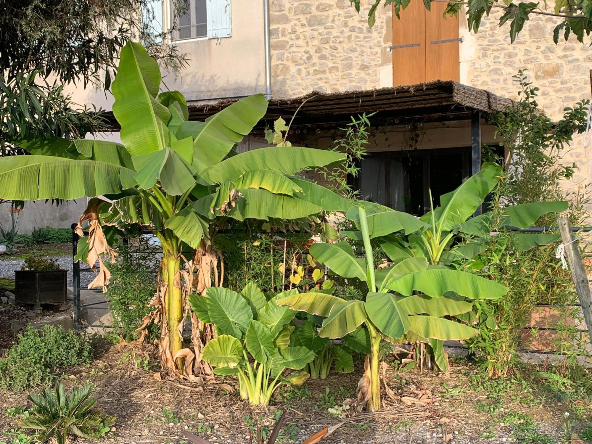 La Bergerie Apartment Domessargues ภายนอก รูปภาพ