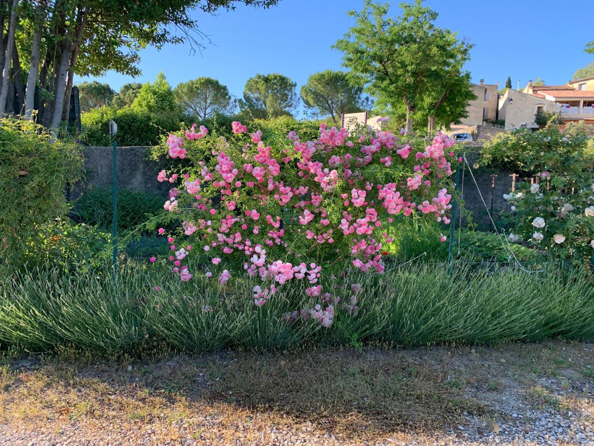 La Bergerie Apartment Domessargues ภายนอก รูปภาพ