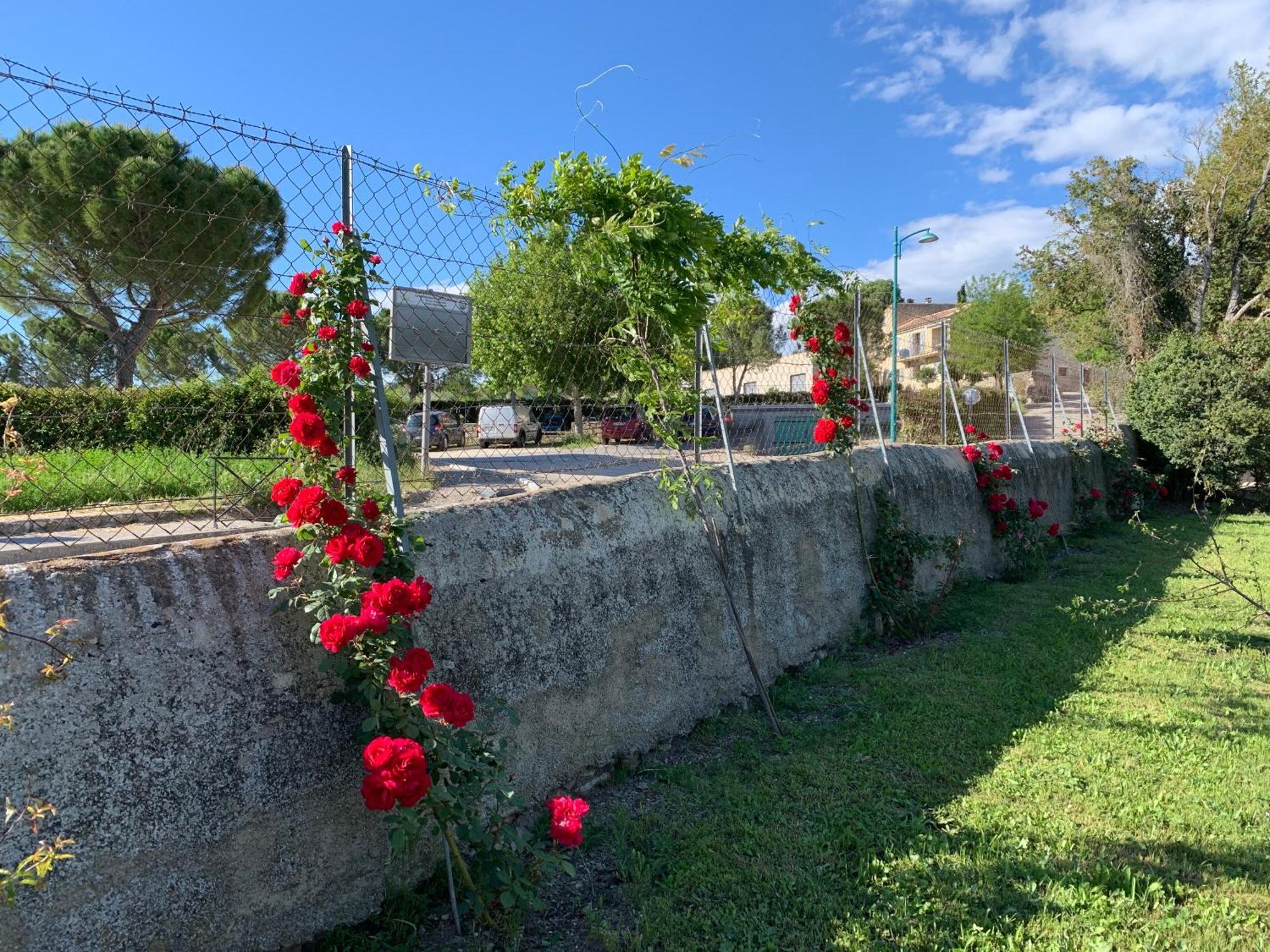 La Bergerie Apartment Domessargues ภายนอก รูปภาพ