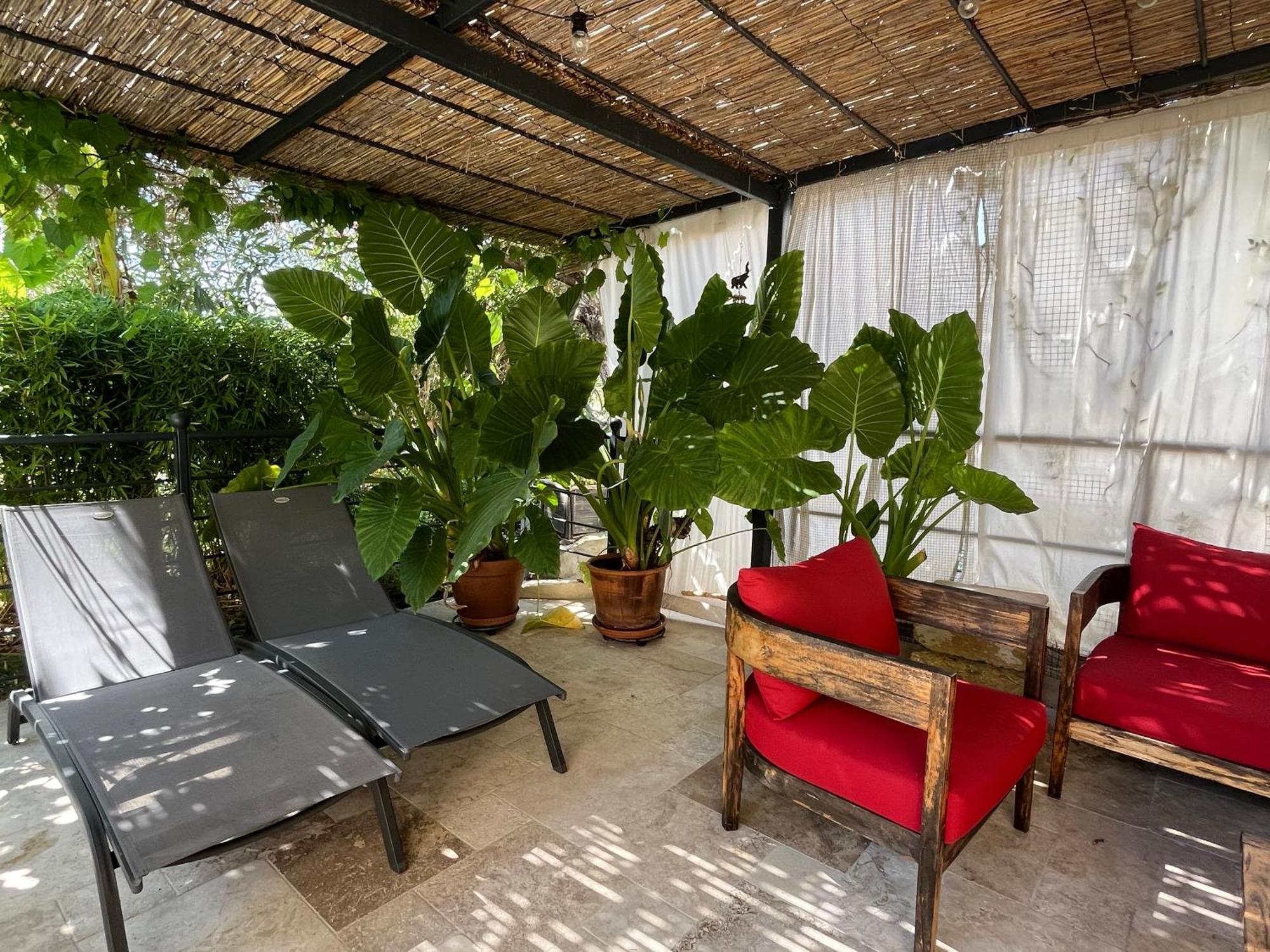 La Bergerie Apartment Domessargues ภายนอก รูปภาพ