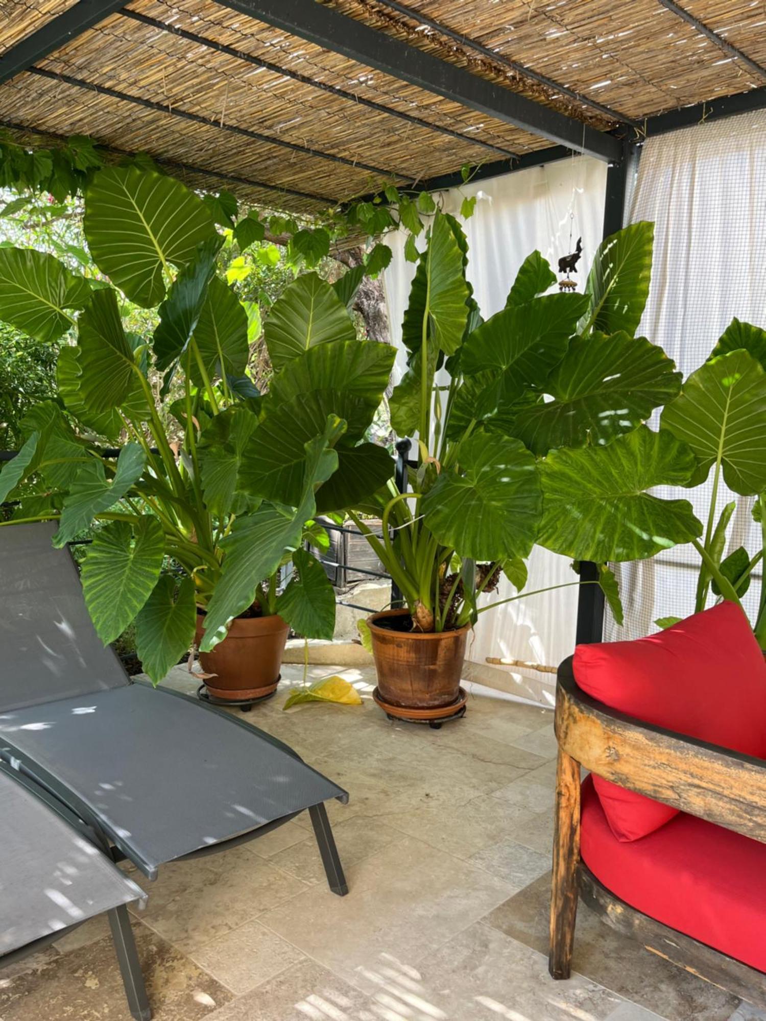 La Bergerie Apartment Domessargues ภายนอก รูปภาพ