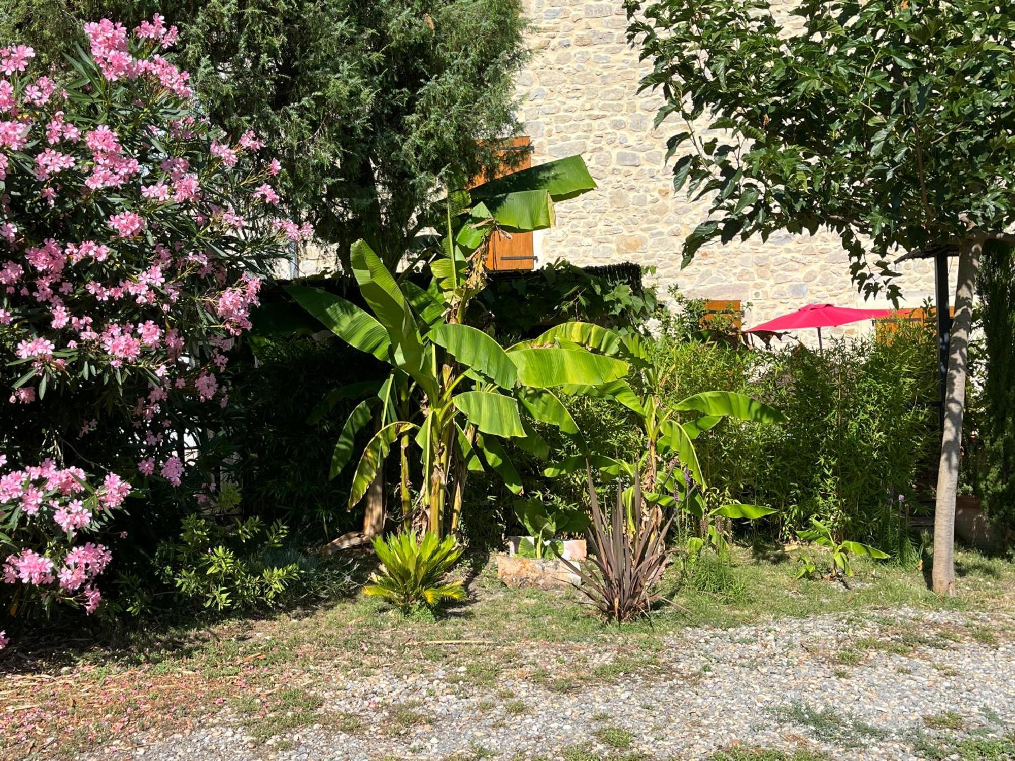 La Bergerie Apartment Domessargues ภายนอก รูปภาพ