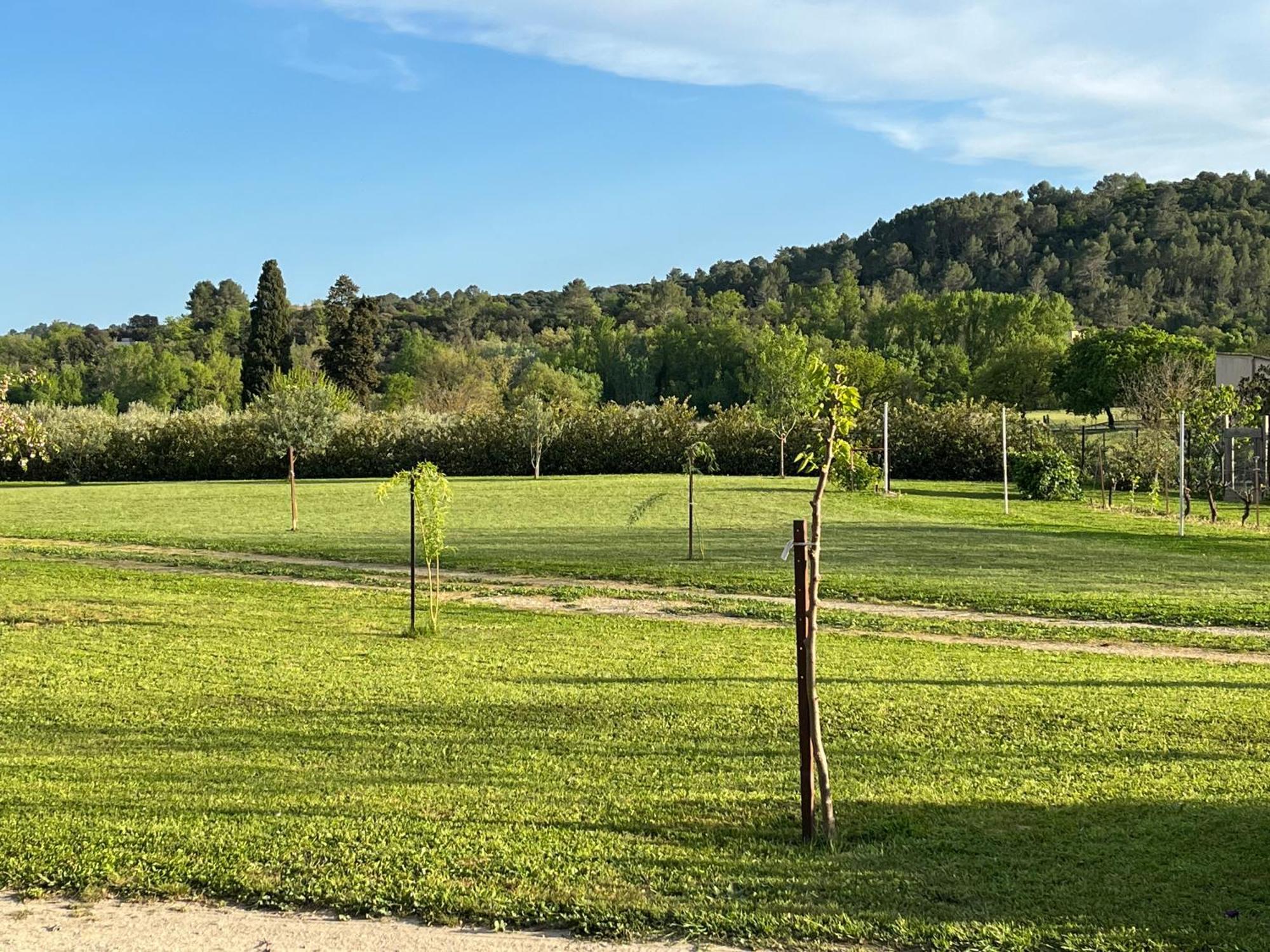 La Bergerie Apartment Domessargues ภายนอก รูปภาพ