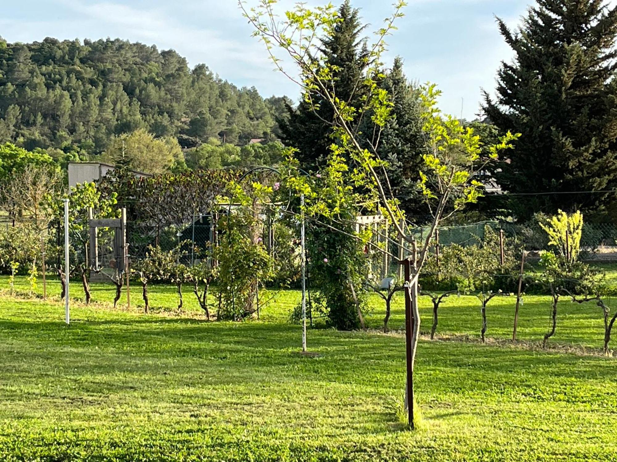 La Bergerie Apartment Domessargues ภายนอก รูปภาพ